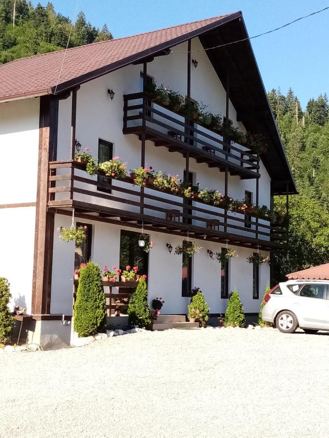 Casa Ursului Vila Vadu Motilor Exterior foto