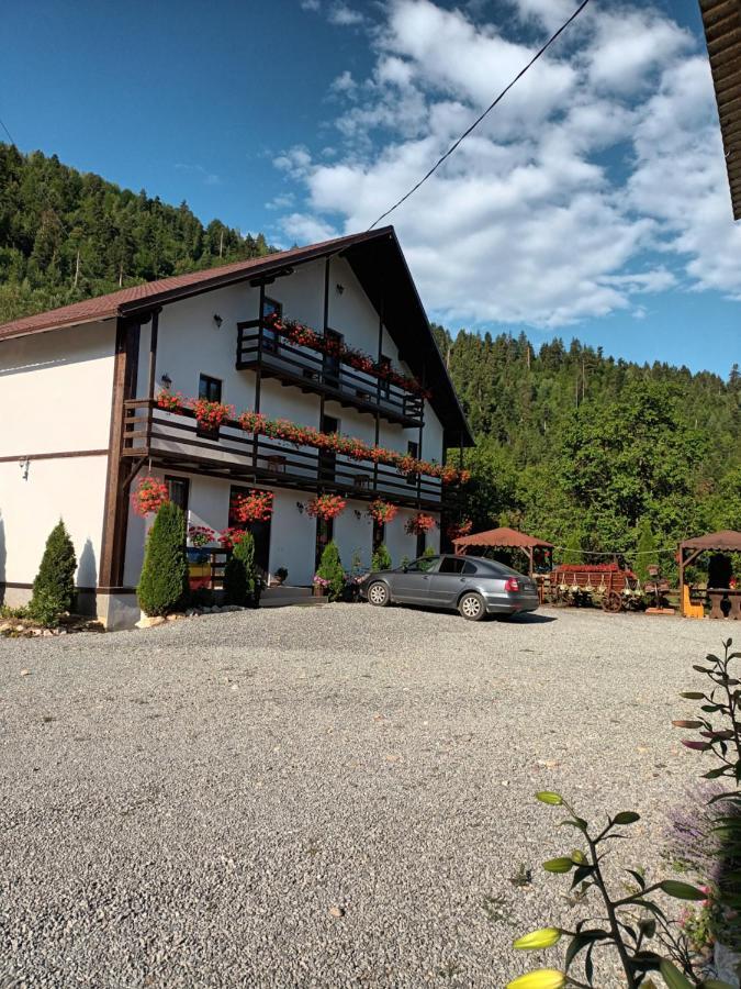 Casa Ursului Vila Vadu Motilor Exterior foto