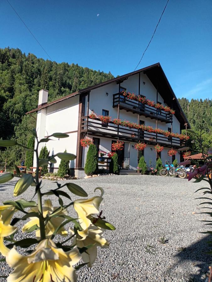 Casa Ursului Vila Vadu Motilor Exterior foto